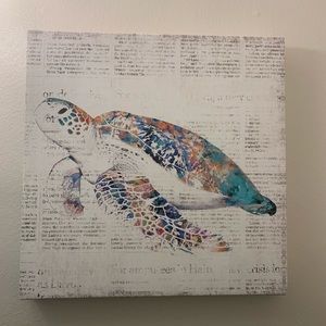Turtle on Canvas